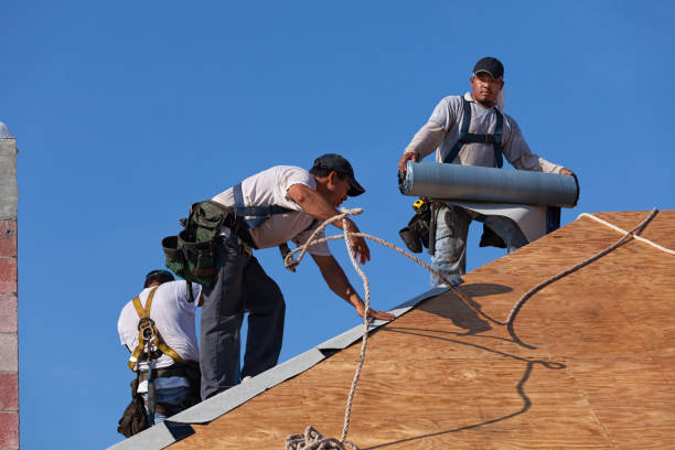 Best Emergency Roof Repair  in Effort, PA